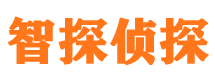 凤冈市婚外情调查